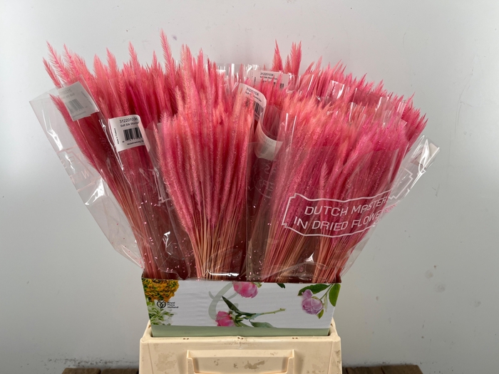 <h4>DROOGBL BEWERKT H%</h4>