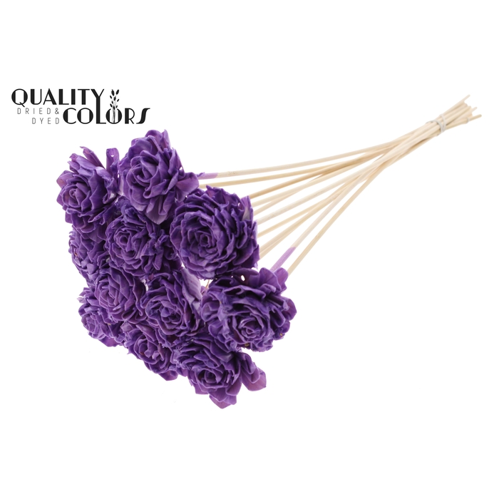 <h4>Shola Dahlia 6cm on stem Wax Milka</h4>