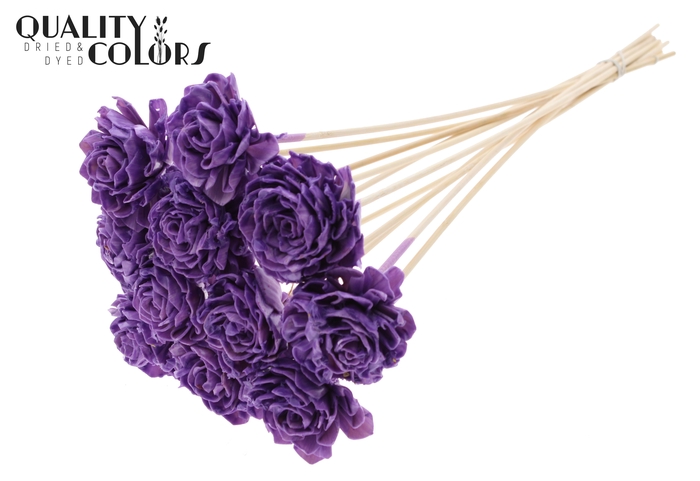 Shola Dahlia 6cm on stem Wax Milka