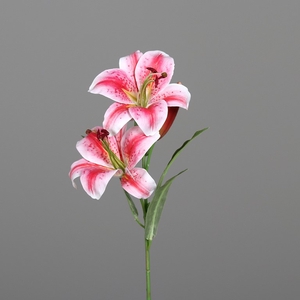 Lilie, 78 cm, pink