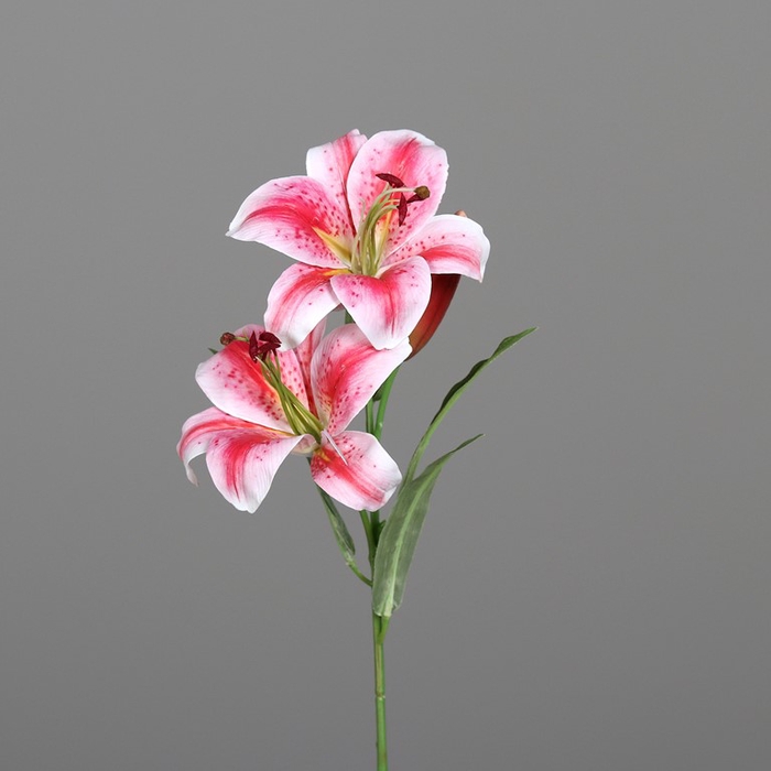 <h4>Lilie, 78 cm, pink</h4>