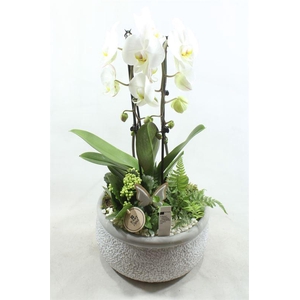 0701 KER. GREY CASCADE