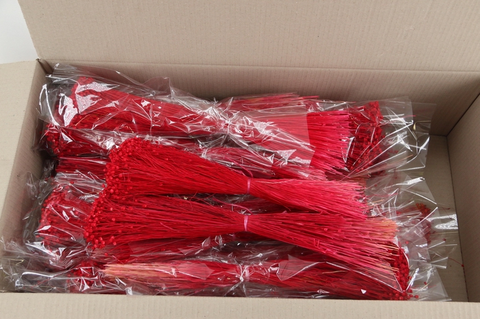 <h4>DF Berina Red Bs</h4>