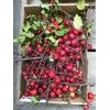APPEL GROEN (LAK)