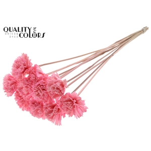 Shola Karnish Flower 6cm on stem Light Pink
