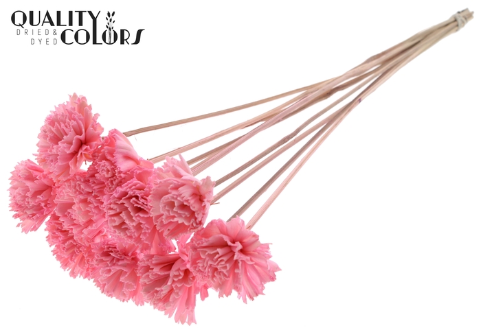 Shola Karnish Flower 6cm on stem Light Pink