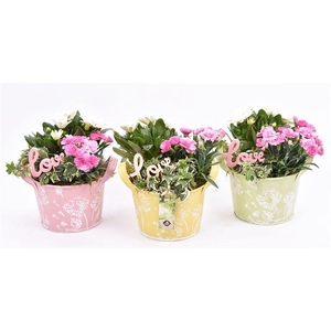 Zink schaal decor mix kl 15.5cm