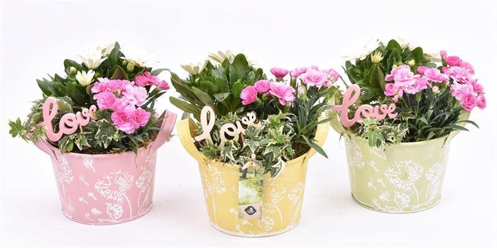 <h4>Zink schaal decor mix kl 15.5cm</h4>