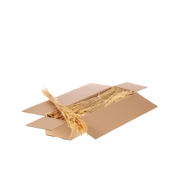 <h4>Phleum Sb Semi Bleached</h4>