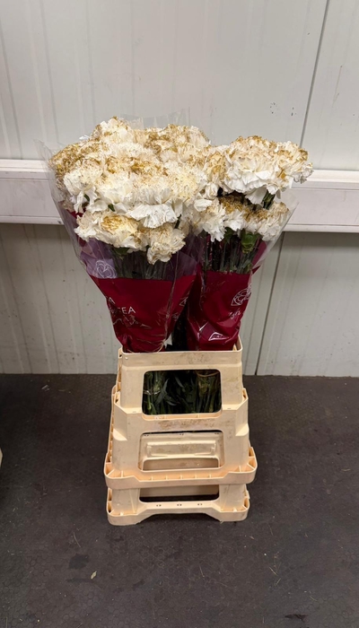 <h4>DI ST OV KLB H%</h4>