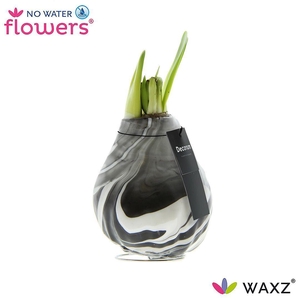 No Water Flowers Waxz® Artooz Earth Black (Decorum)