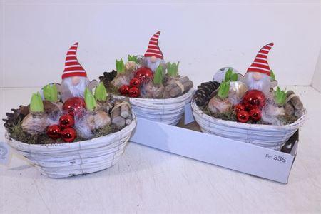 <h4>Arr Hyacinth In Hout Ovaal</h4>