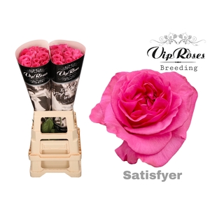 R GR SATISFYER