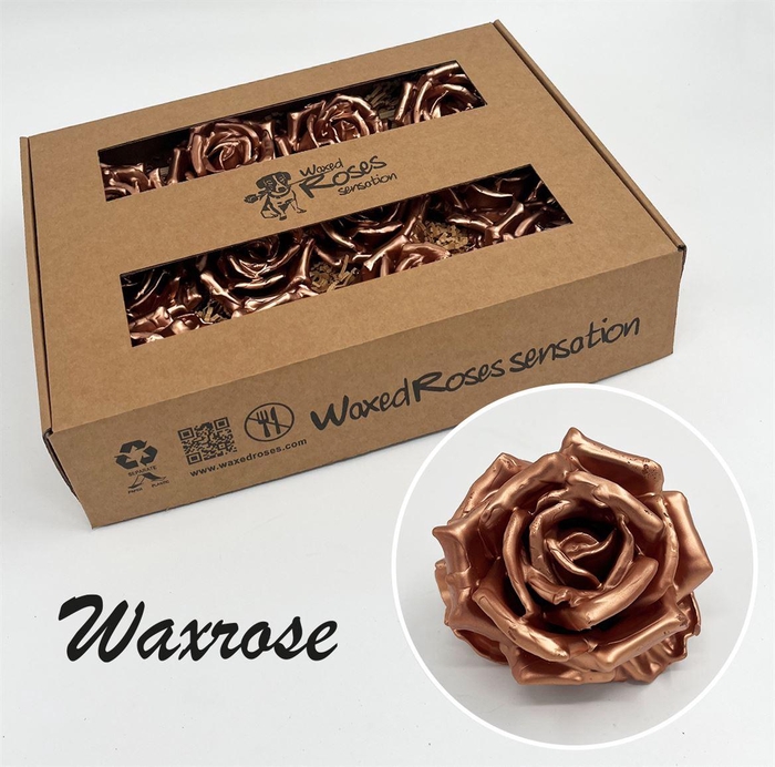 <h4>Zijde R Wx Koper</h4>