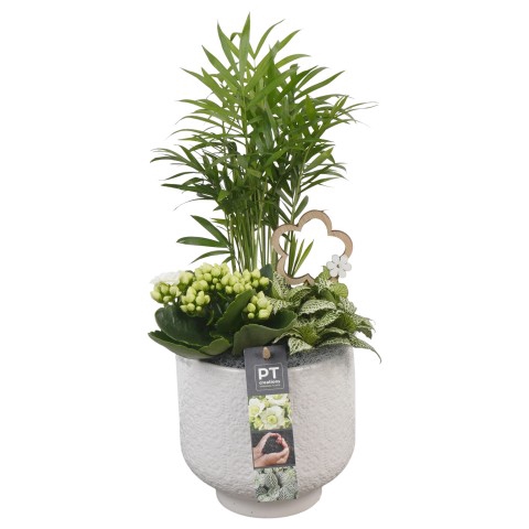 <h4>PTIB6389 Arrangement Indoor in keramiek pot</h4>