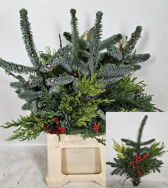 KERSTGROEN OV BS
