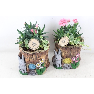 arr4 Outdoor PL - Ker. boomstam