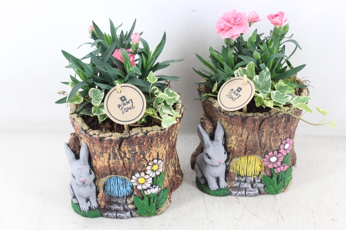 <h4>arr4 Outdoor PL - Ker. boomstam</h4>