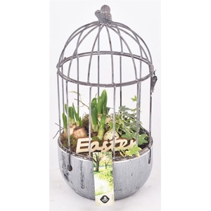 Metaal vogelkooi 15cm hoog 31cm