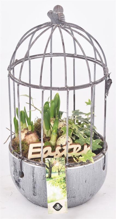 <h4>Metaal vogelkooi 15cm hoog 31cm</h4>