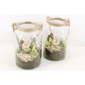 arr4 Hyacint PL - Glas fles met touw x6