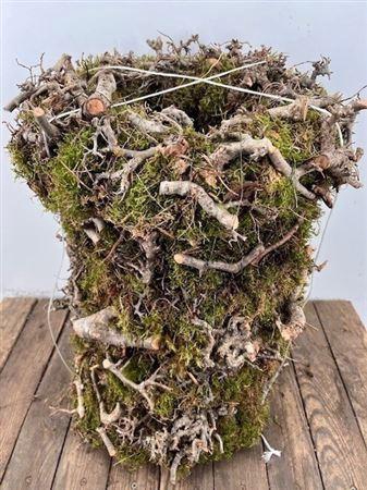 <h4>Wr Bonsai Moss 30cm</h4>