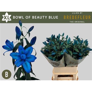 Li Or Du Bowl Of Beauty Blue