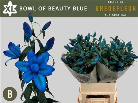 <h4>Li Or Du Bowl Of Beauty Blue</h4>