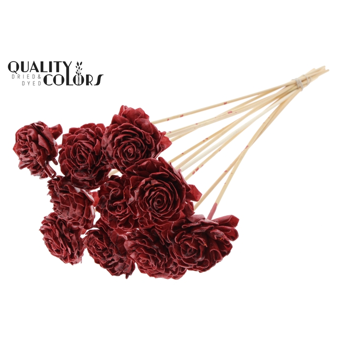 <h4>Shola Dahlia 6cm on stem Wax Burgundy</h4>