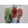 KALANCHOE DOBRADO 060 CM