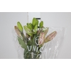 LIRIO ALBUFEIRA 090 CM HT 3/4 FLS ROSA