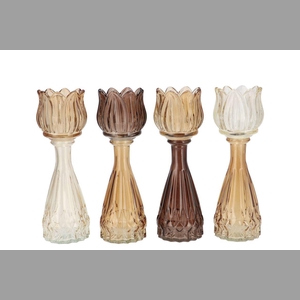 Bicolore Natural Brown Mix Tulip Vase Ass 7x22cm Nm