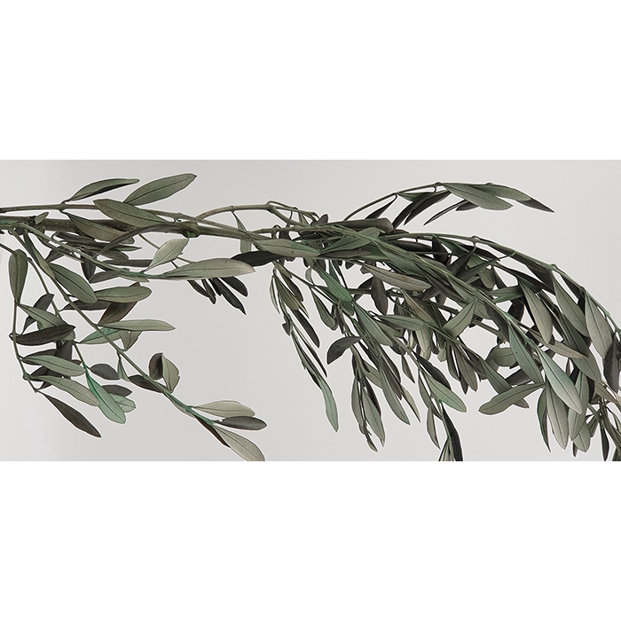 <h4>Olijftak 40/80</h4>