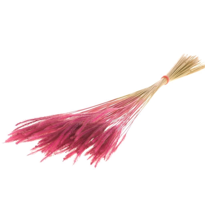 <h4>Soft worms grass pink</h4>