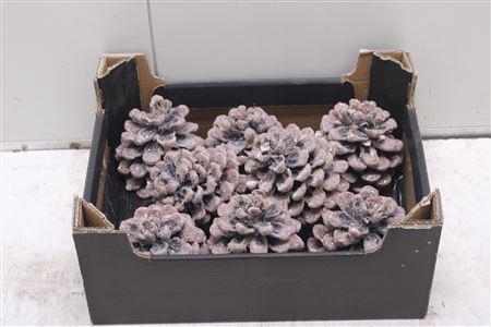 <h4>F-pinea Glitters Natuur</h4>