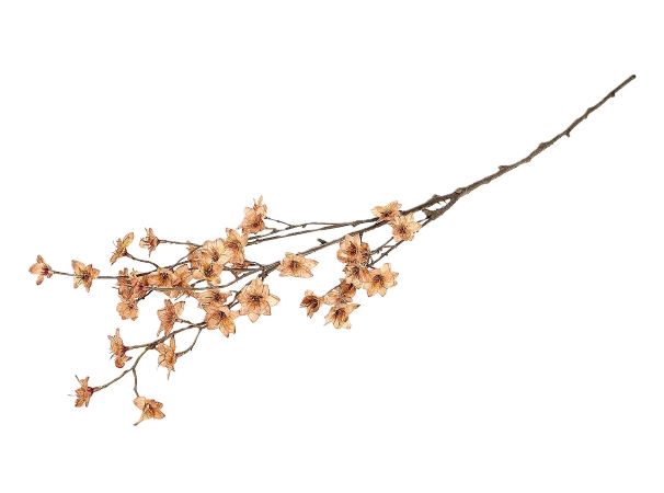 Branch Blossom Almonde L111