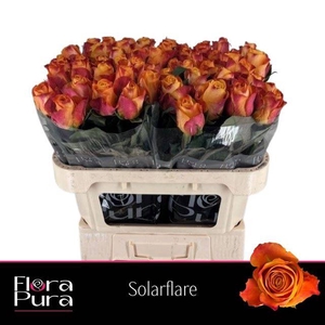 R GR SOLARFLARE