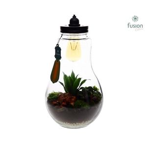 Arrangement Glass Terrarium XXL with lighting and green plants FC-19.940HB