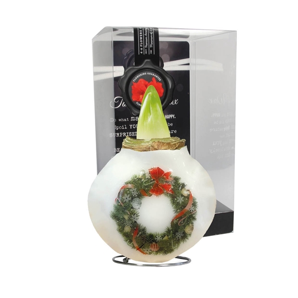 <h4>Amaryllis Touch of Wax Porcelain Christmas Wreath 6x1, rode bloem, Plastic Giftbox, Tray236</h4>