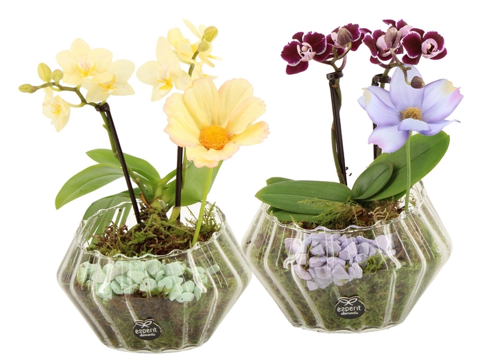 <h4>11577: Consideration arrangement</h4>