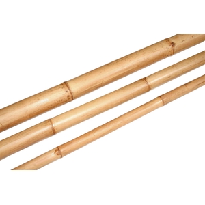 Branch Bamboo L210D6