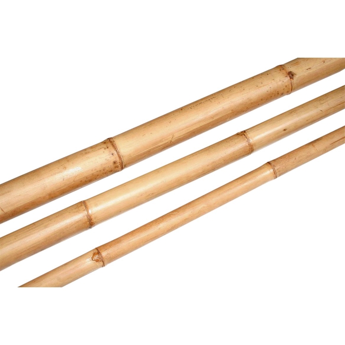 <h4>Branch Bamboo L210D6</h4>