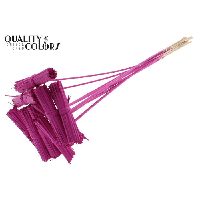 <h4>Kore Posy on stem Covered Cerise</h4>
