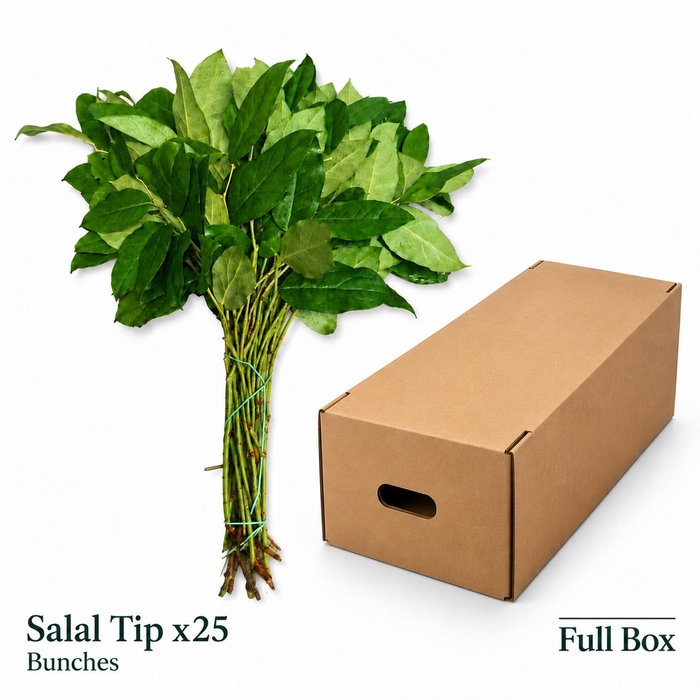 <h4>DECOGROEN GROOT BLAD</h4>