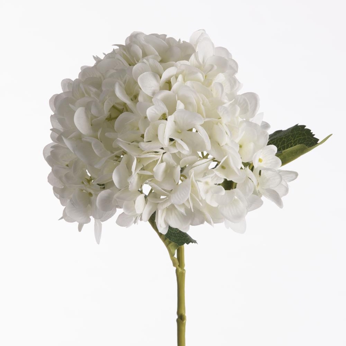 <h4>AF Hydrangea L64cm White</h4>