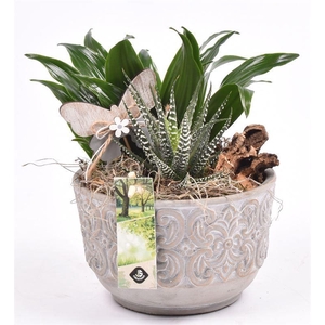 Cement schaal barok 16cm