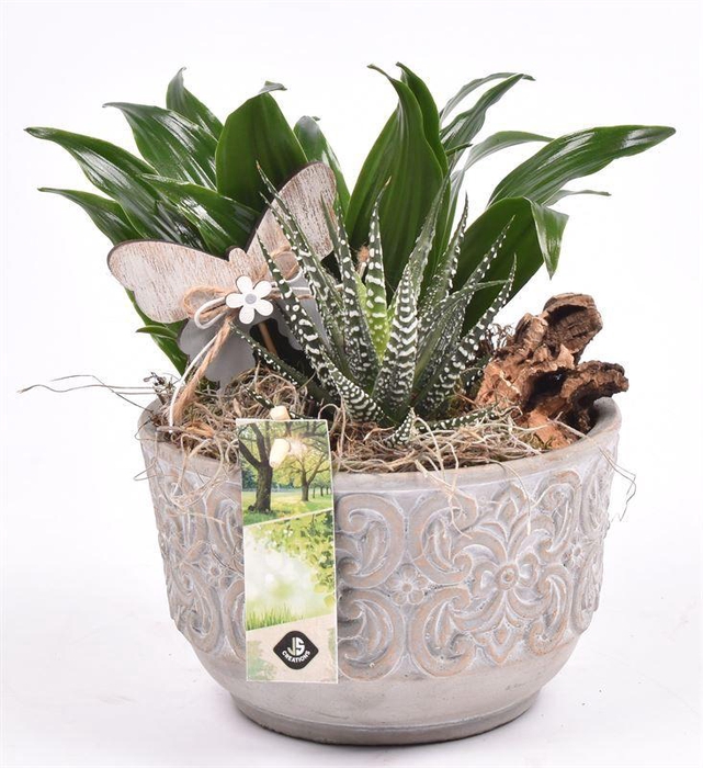 <h4>Cement schaal barok 16cm</h4>