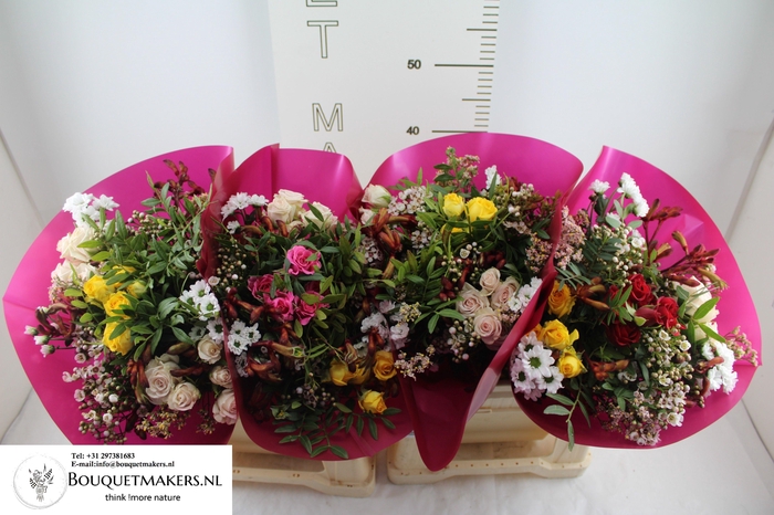 <h4>GEM BOEKET OV</h4>