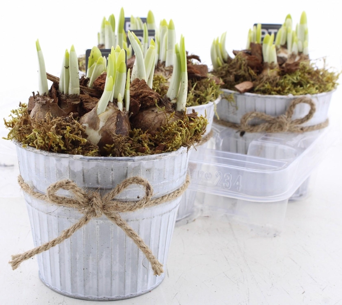 <h4>ARR N TETE A TETE</h4>