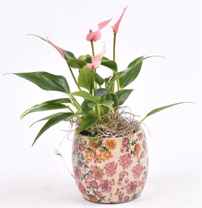 <h4>Keramiek decor pot 9CM</h4>
